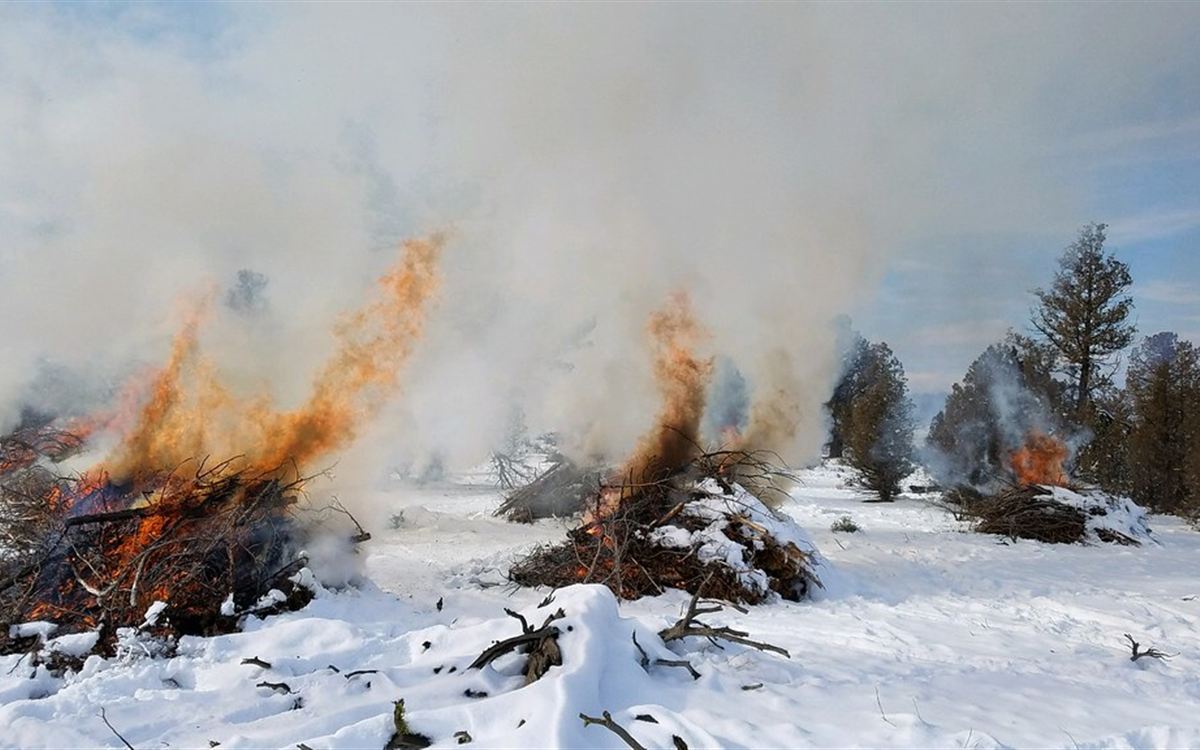 Brush piles burning in snow with heavy smoke